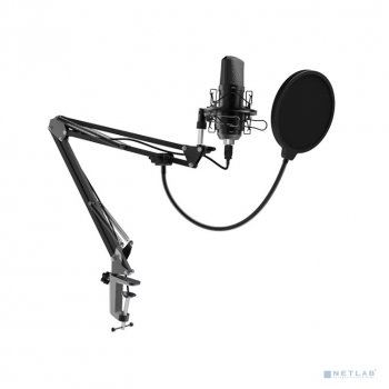 Микрофон Ritmix <RDM-169 Black> Настольный проводной микрофон