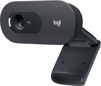Веб-камера Logitech C505e черный 1.2Mpix (1280x720) USB2.0 с микрофоном для ноутбука (960-001373)