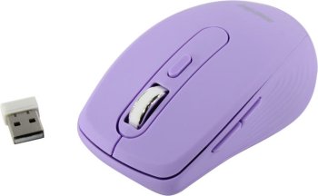 Мышь беспроводная SmartBuy CHiC Wireless Optical Mouse <SBM-611AG-V> (RTL) USB 6btn+Roll,