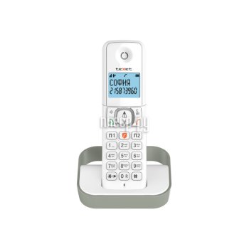 Радиотелефон teXet TX-D5605A White-Grey