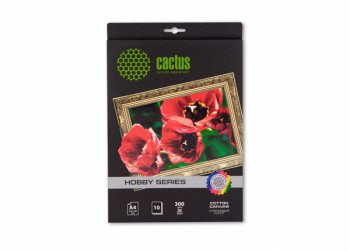Холст Cactus CS-CA426010 (A4, 10 листов, 300 г/м2) арт , хлопковый