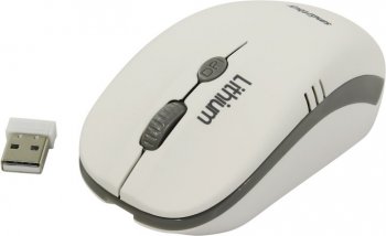 Мышь беспроводная SmartBuy Wireless Optical Mouse <SBM-344CAG-WG> (RTL) USB 4btn+Roll,