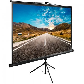 Экран для проектора Cactus 160x160см TriExpert CS-PSTE-160x160-BK 1:1 напольный рулонный