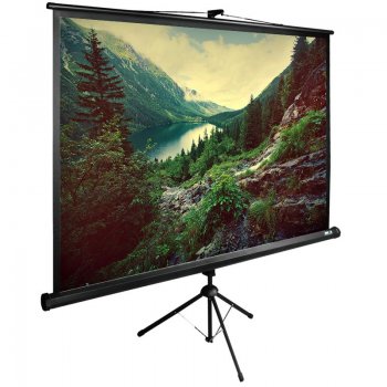 Экран для проектора Cactus 220x220см TriExpert CS-PSTE-220х220-BK 1:1 напольный рулонный