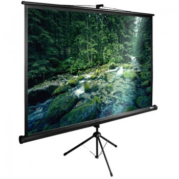 Экран для проектора Cactus 165x220см TriExpert CS-PSTE-220х165-BK 4:3 напольный рулонный