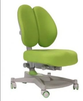Кресло ортопедическое для детей FunDesk Contento Green