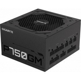 Блок питания Gigabyte ATX 750W GP-P750GM 80+ gold (24+4+4pin) APFC 120mm fan 8xSATA Cab Manag RTL