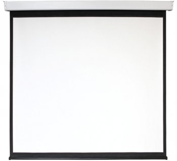 Экран для проектора 209x206см Digis Electra-F DSEF-1106 1:1 настенно-потолочный рулонный (моторизованный привод)