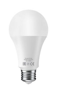 Cветодиодная smart-лампа умная Digma DiLight E27 W1 E27 8Вт 800lm 2700 К Wi-Fi
