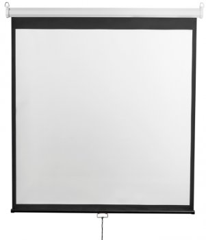 Экран для проектора Lumien 172x176см Master Picture LMP-100110CSR 16:10 настенно-потолочный рулонный