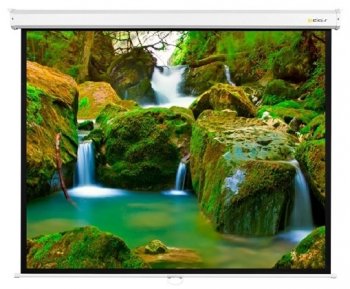 Экран для проектора 229x308см Digis Optimal-D DSOD-4306 4:3 настенно-потолочный рулонный