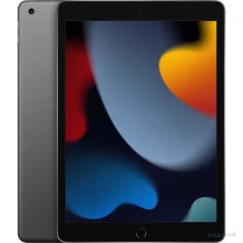 Планшетный компьютер Apple iPad Wi-Fi 64GB <MK2K3LL/A> Space Gray A13/64Gb/WiFi/BT/iOS/10.2"Retina/0.487 кг