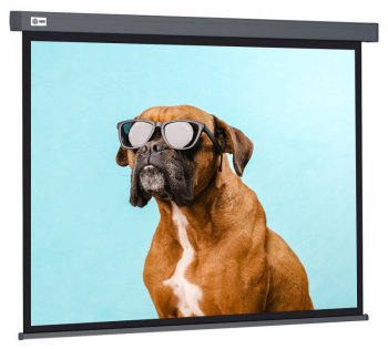 Экран для проектора Cactus 183x244см Wallscreen CS-PSW-183X244-SG 4:3 настенно-потолочный рулонный серый