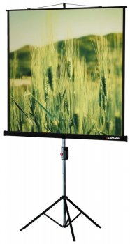 Экран для проектора Lumien 127x127см Master Picture LMP-100101 1:1 настенный рулонный белый