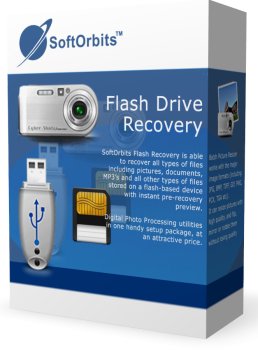 Flash Drive Recovery Business (Онлайн поставка)