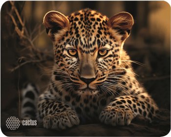 Коврик для мыши Cactus Leopard Мини рисунок 250x200x3мм (CS-MP-D06S)