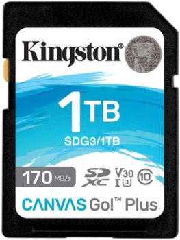 Карта памяти SDXC 1TB Kingston SDG3/1TB Canvas Go! Plus w/o adapter
