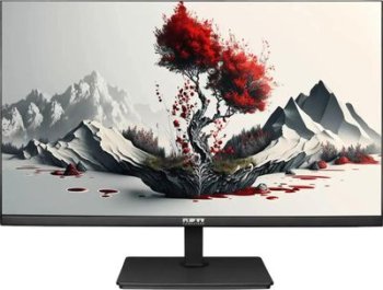 Монитор RDW Computers 23.8" RDW2401K черный IPS 4ms 16:9 HDMI матовая 1000:1 178гр/178гр 1920x1080 VGA DP FHD 4.185кг (RUS)