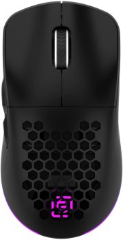 Мышь беспроводная Oklick 900GMW черный