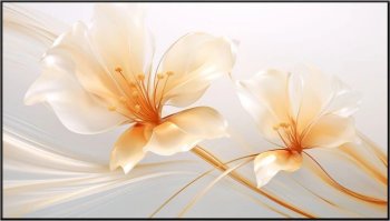 Экран для проектора на раме Xgimi 127.6x224.5см 100" UST ALR Screen 16:9 настенный рулонный