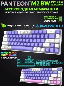 Клавиатура Jet.A Panteon M2 BW Purole-White (164) беспроводная мембранная TKL (65%) с LED-подсв. MULTICOLOR (68 кл., 2,4 Ггц / Bluetooth 5.1)